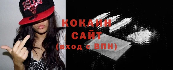 кокс Алексин