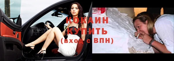 кокс Алексин