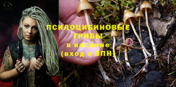 кокс Алексин