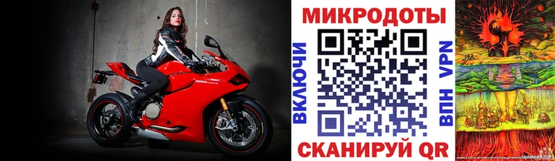 Галлюциногенные грибы мицелий  Куровское 